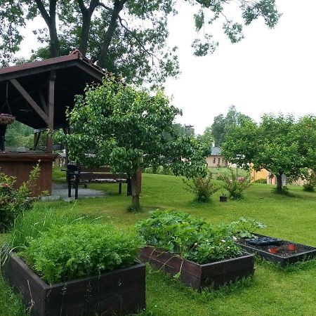 MiJa apartmán s VINNÝM SKLÍPKEM, zahradou a grilem Kájov Exteriér fotografie