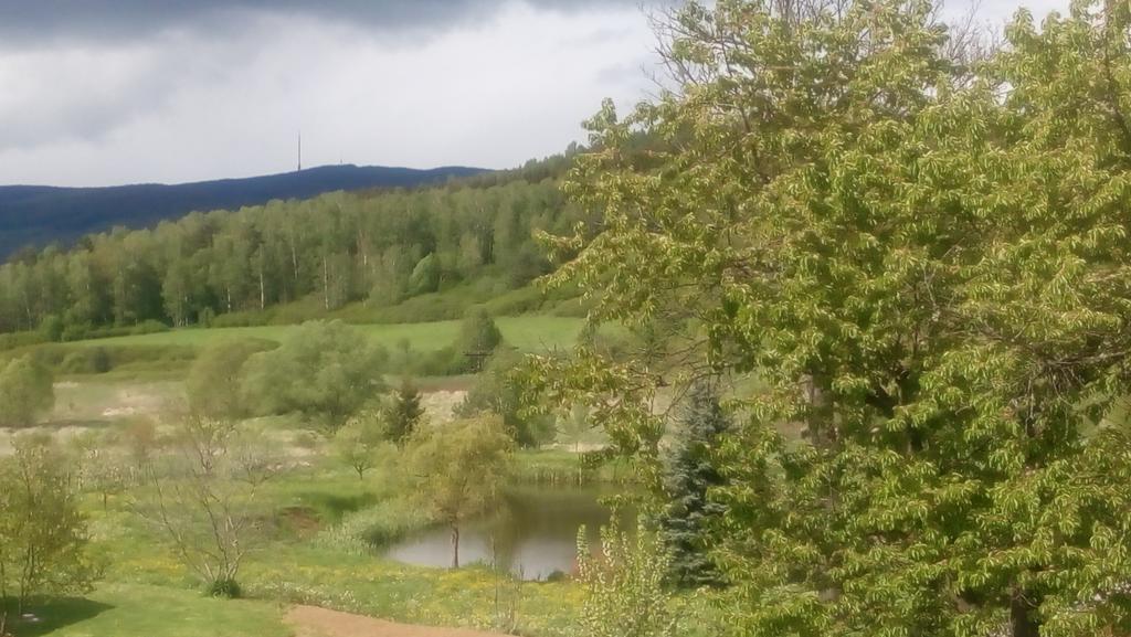 MiJa apartmán s VINNÝM SKLÍPKEM, zahradou a grilem Kájov Exteriér fotografie