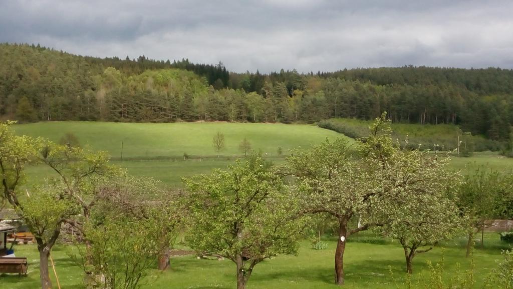 MiJa apartmán s VINNÝM SKLÍPKEM, zahradou a grilem Kájov Exteriér fotografie