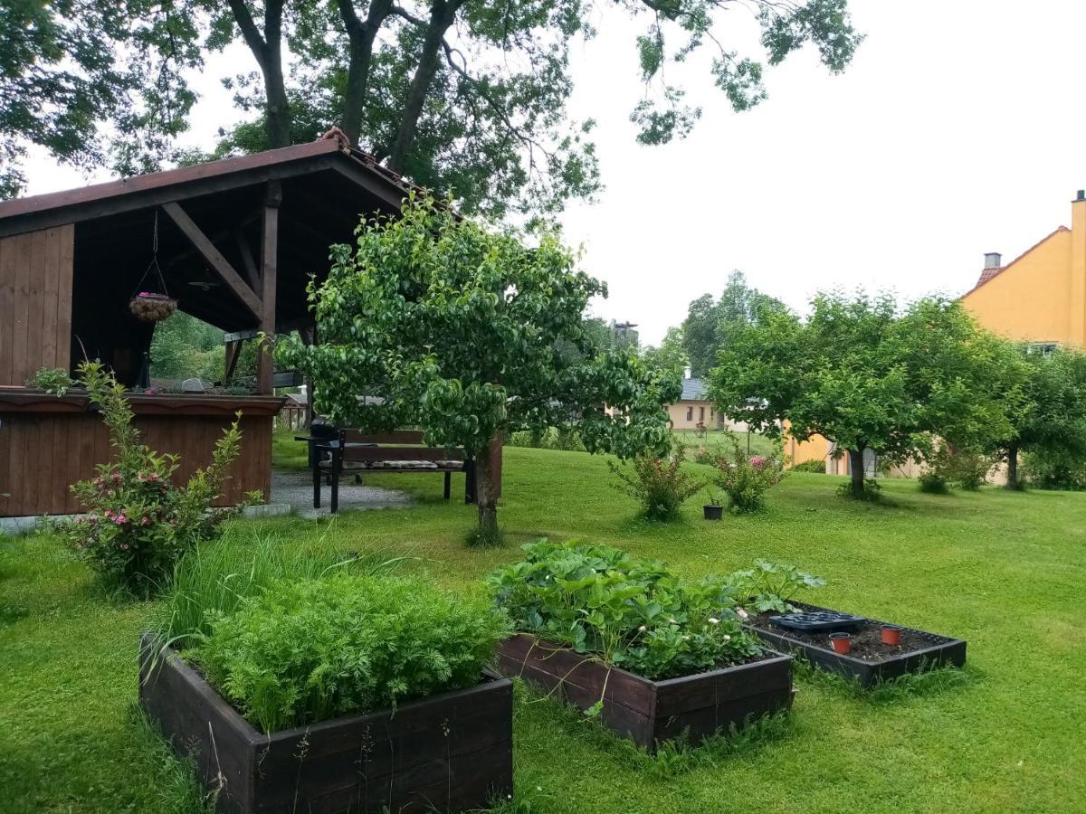 MiJa apartmán s VINNÝM SKLÍPKEM, zahradou a grilem Kájov Exteriér fotografie